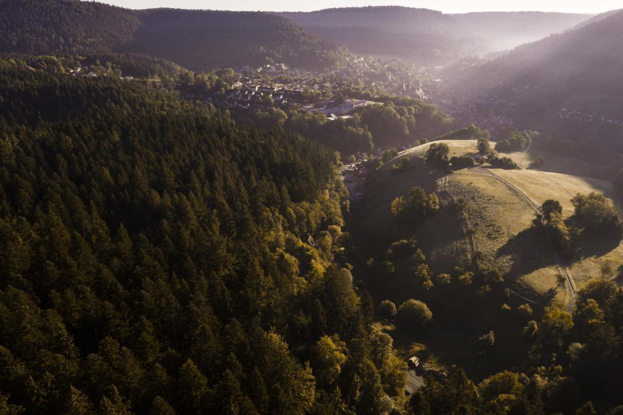 Schweizerhaus Villa Alpirsbach Exteriör bild